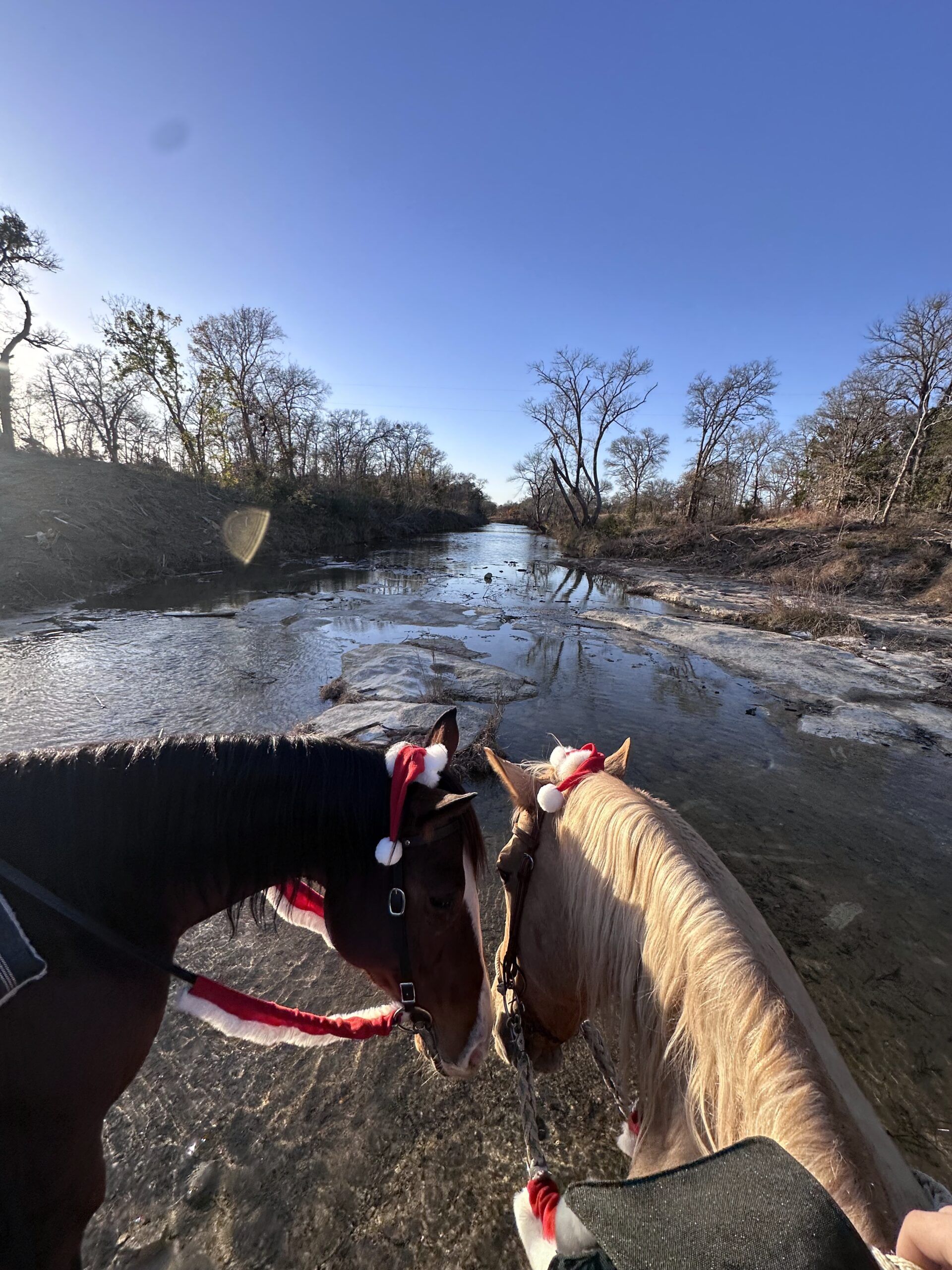 Horsemanship & Grooming Lessons